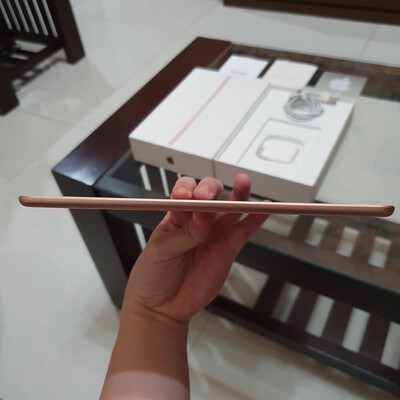 ipad mini 5 gol