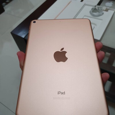 ipad mini 5 gol