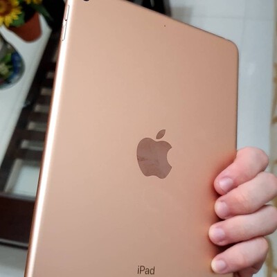 ipad mini 5 gol