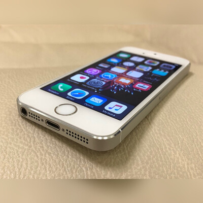 iphone se silve