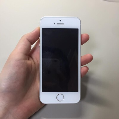 iphone se silve
