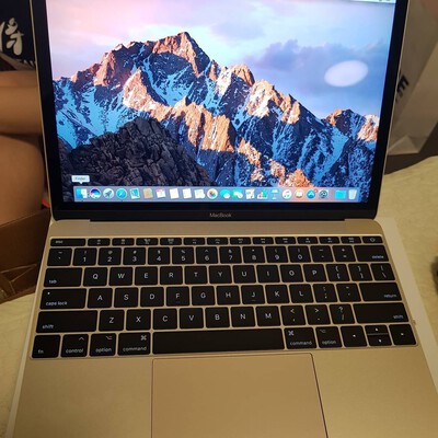 macbook 12 inch 2015 gol