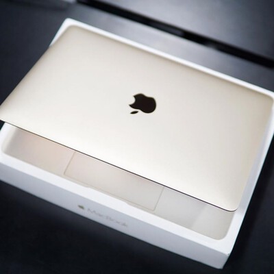 macbook 12 inch 2015 gol