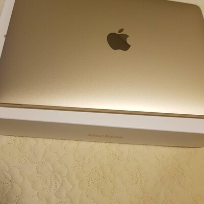 macbook 12 inch 2015 gol