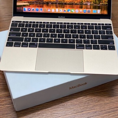 macbook 12 inch 2017 gol