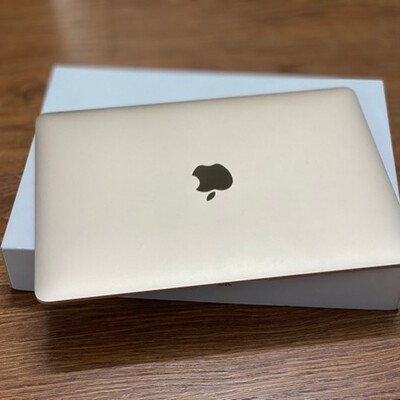 macbook 12 inch 2017 gol