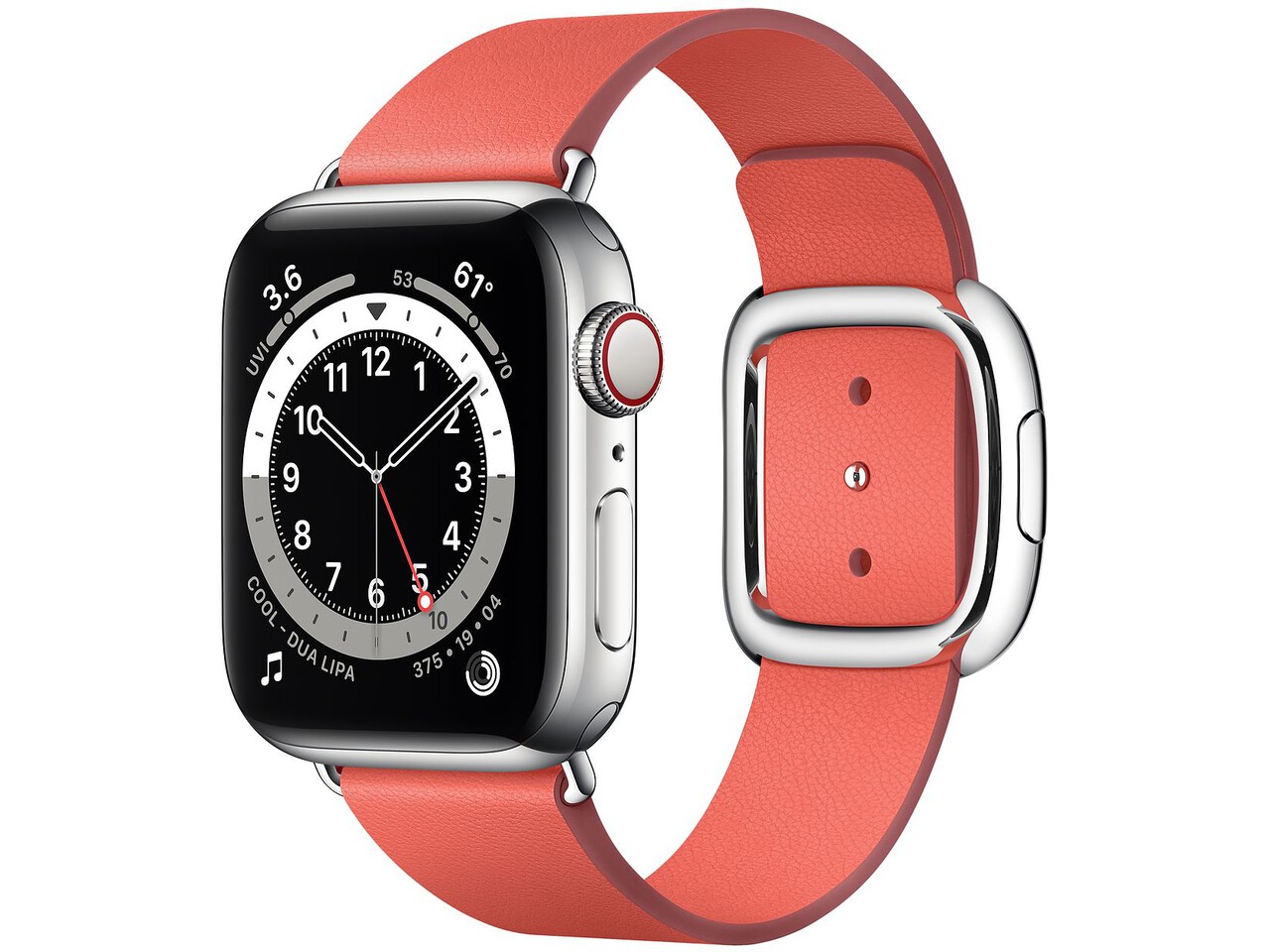 apple watch series 6 cellular 40mm silver stainless steel pink citrus leather loop 