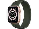 apple watch series 6 cellular 40mm gold aluminum cyprus green solo loop 