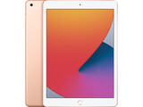 ipad 8 gold