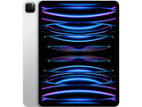 ipad pro 12.9 inch 6th gen 12 inch cellular silver