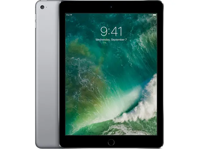iPad Air 2 in Space Grau