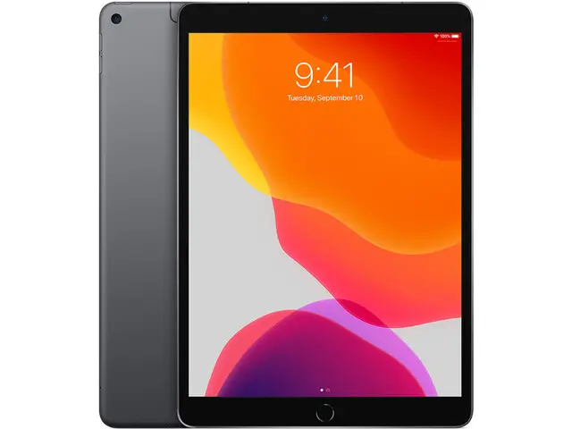 iPad Air 3 in Space Grau