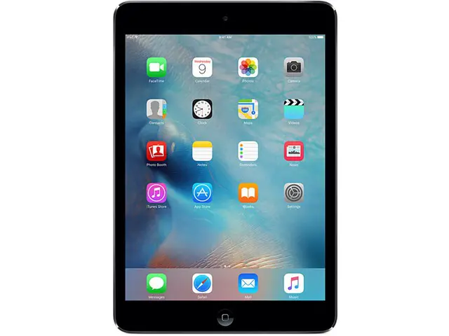 iPad mini 2 in Space Gray