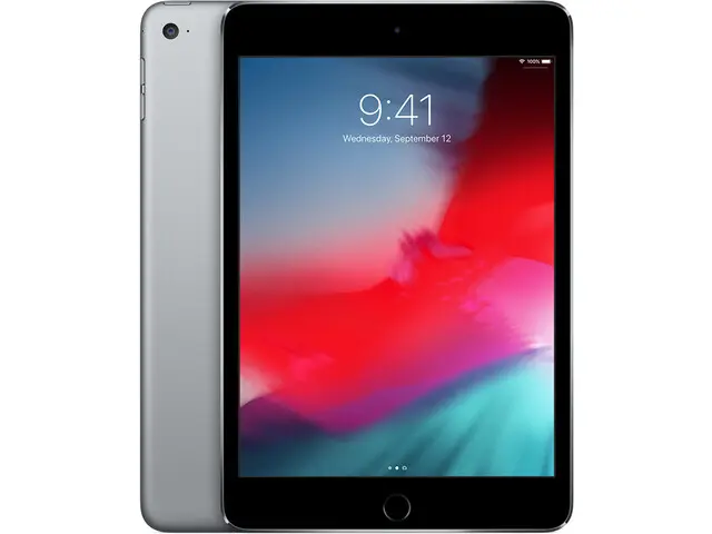 iPad mini 4 in Space Gray