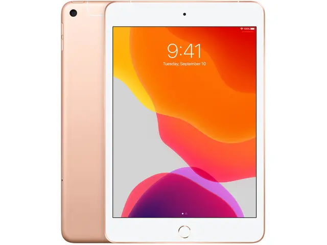iPad mini 5 in Gold