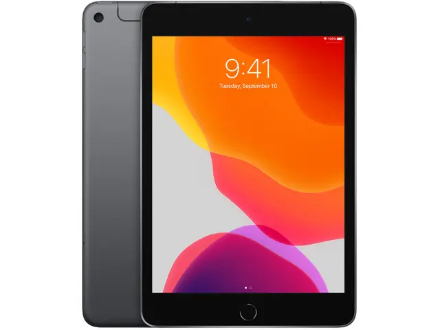 iPad mini 5 in Space Gray