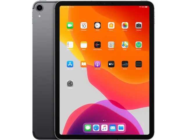 iPad Pro 11" (1st gen), coloris Gris sidéral
