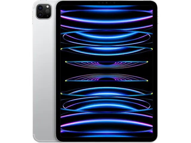 iPad Pro 11" (4th gen) in Silver
