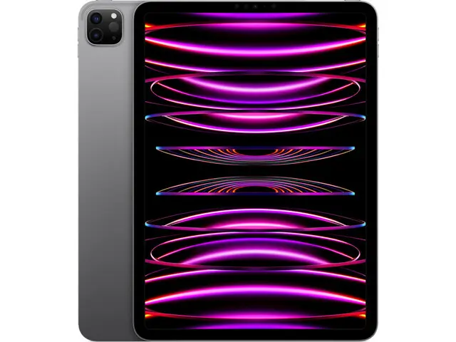 iPad Pro 11" (4th gen) in Space Gray