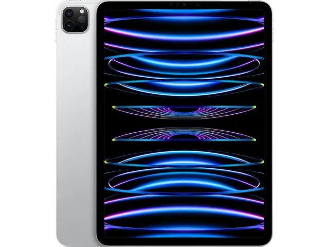 iPad Pro 11" (4th gen) in Silver