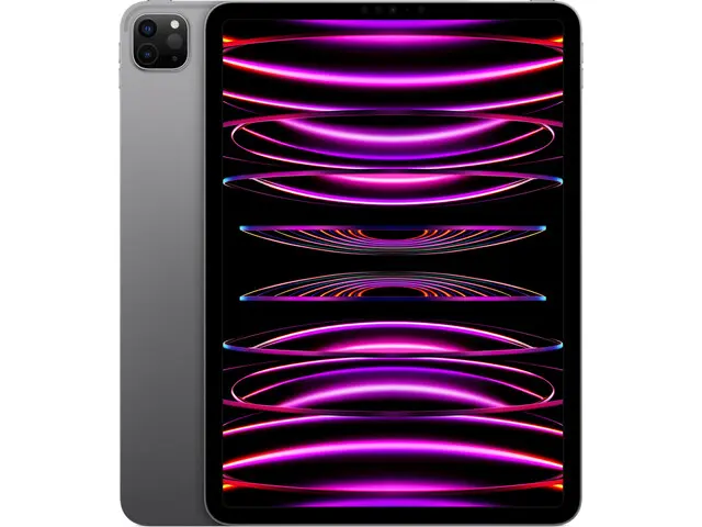 iPad Pro 11" (4th gen) in Space Gray