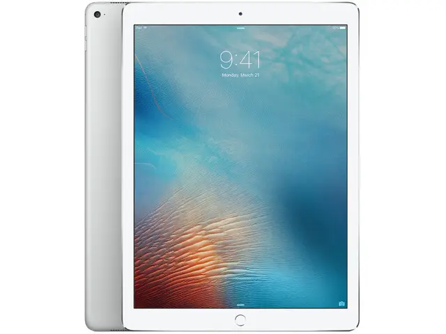 iPad Pro 12.9" (1st gen) in Silber