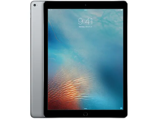 iPad Pro 12.9" (1st gen) in Space Gray