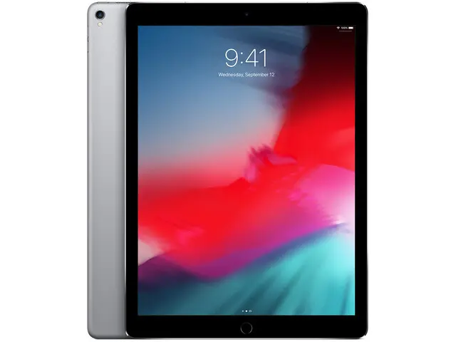 iPad Pro 12.9" (2nd gen) in Space Grau