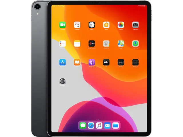 iPad Pro 12.9" (3rd gen) in Space Gray