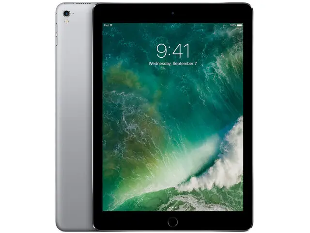 iPad Pro 9.7" (1st gen) in Space Grau