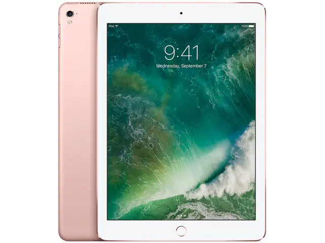 iPad Pro 9.7" (1st gen) in Rose Gold