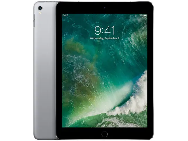 iPad Pro 9.7" (1st gen) in Space Grau